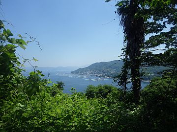 20170520-104953.jpg 20170520-104953.jpg