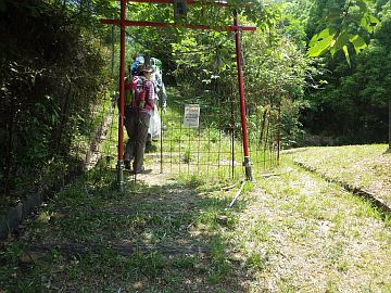 20170520-113849.jpg 20170520-113849.jpg