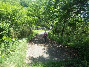 20170520-115741.jpg 20170520-115741.jpg