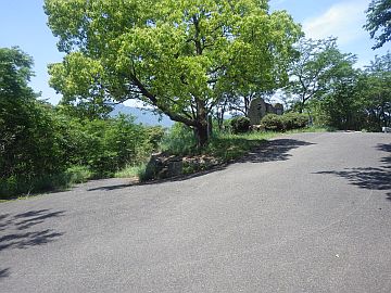 20170520-120013.jpg 20170520-120013.jpg