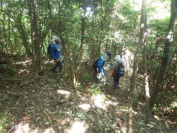20170520-131549.jpg 20170520-131549.jpg