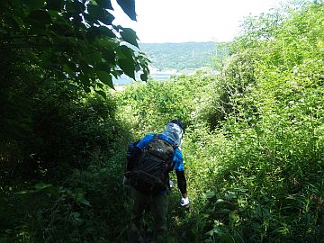 20170520-141613.jpg 20170520-141613.jpg