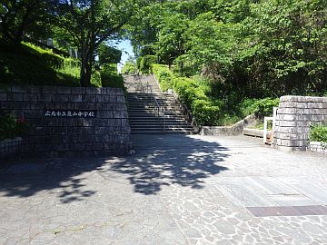 20170528-093117.jpg 20170528-093117.jpg