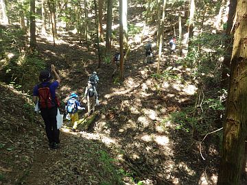 20170604-101510.jpg 20170604-101510.jpg