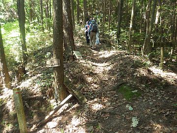 20170604-101739.jpg 20170604-101739.jpg