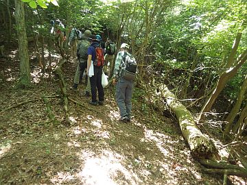 20170604-104758.jpg 20170604-104758.jpg