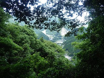 20170604-121105.jpg 20170604-121105.jpg