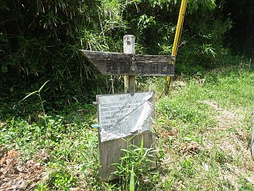 20170604-124136.jpg 20170604-124136.jpg
