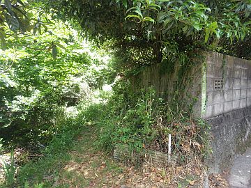 20170604-124558.jpg 20170604-124558.jpg