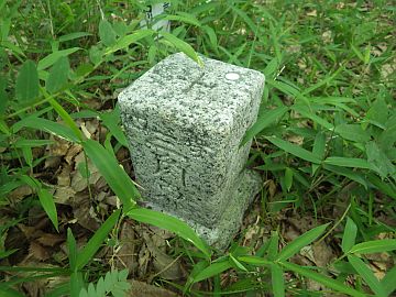 20170604-131933.jpg 20170604-131933.jpg