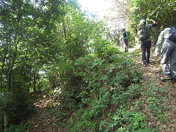 20170610-091422.jpg 20170610-091422.jpg