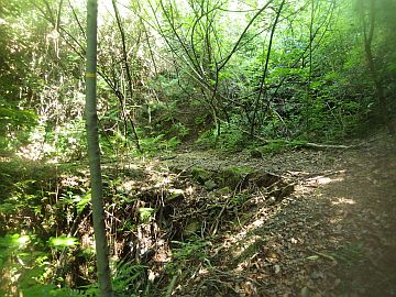 20170610-094050.jpg 20170610-094050.jpg
