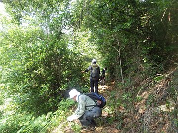 20170610-095605.jpg 20170610-095605.jpg