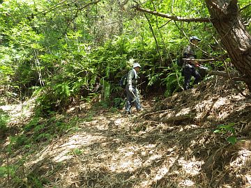 20170610-100524.jpg 20170610-100524.jpg