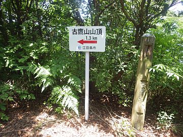 20170610-112820.jpg 20170610-112820.jpg