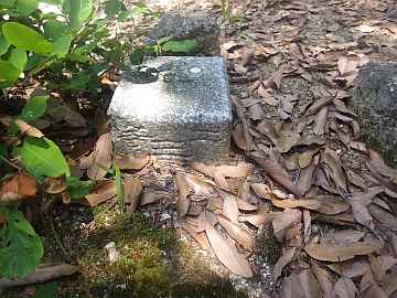 20170610-114702.jpg 20170610-114702.jpg