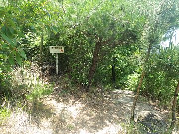 20170610-115317.jpg 20170610-115317.jpg