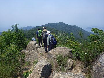 20170610-125312.jpg 20170610-125312.jpg