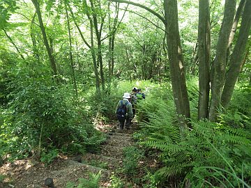 20170610-125756.jpg 20170610-125756.jpg