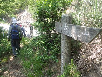 20170610-131715.jpg 20170610-131715.jpg