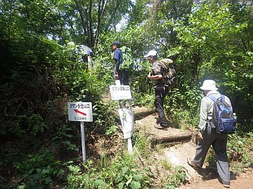 20170610-131758.jpg 20170610-131758.jpg