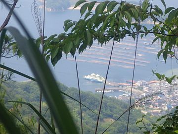 20170610-140310.jpg 20170610-140310.jpg