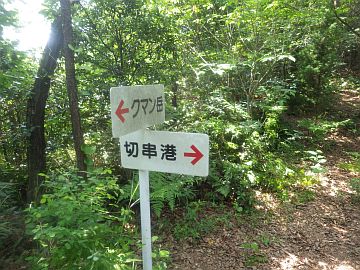 20170610-143933.jpg 20170610-143933.jpg