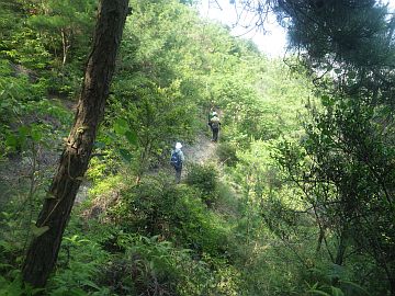 20170610-144601.jpg 20170610-144601.jpg